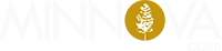 Minnova Corp.